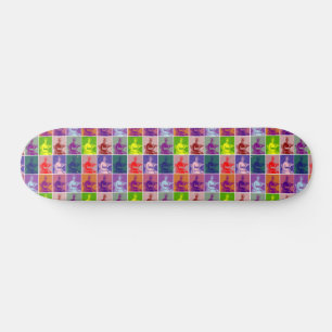 Jane Austen pop art colourful  Skateboard