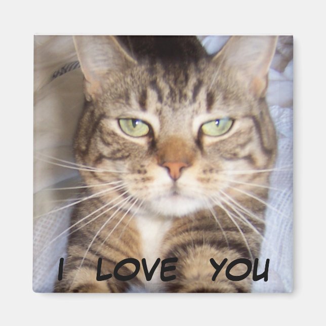 Jane says..i LOVE YOU Magnet (Front)