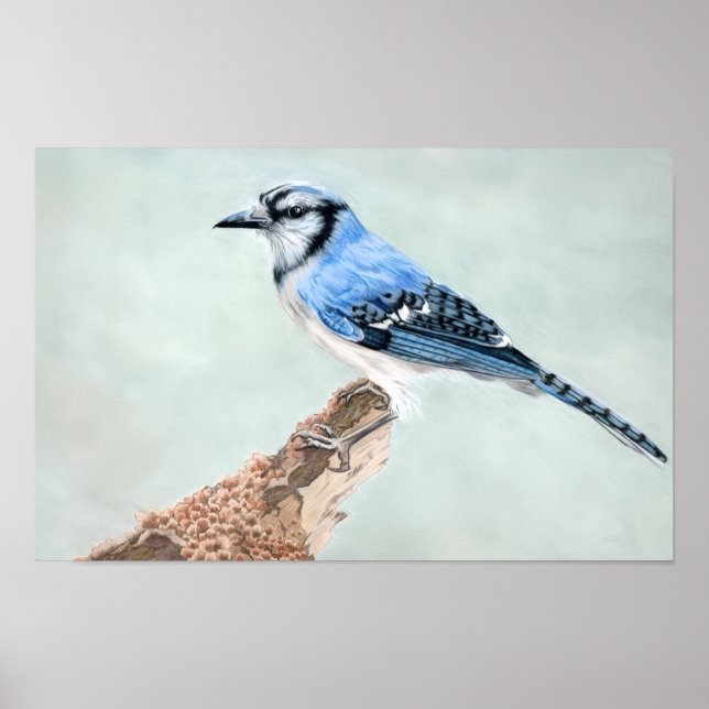 Jane's Jay Poster (Front)