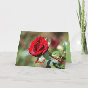 Janet Happy Birthday Red Rose Card