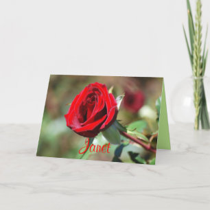 Janet Happy Birthday Red Rose Card