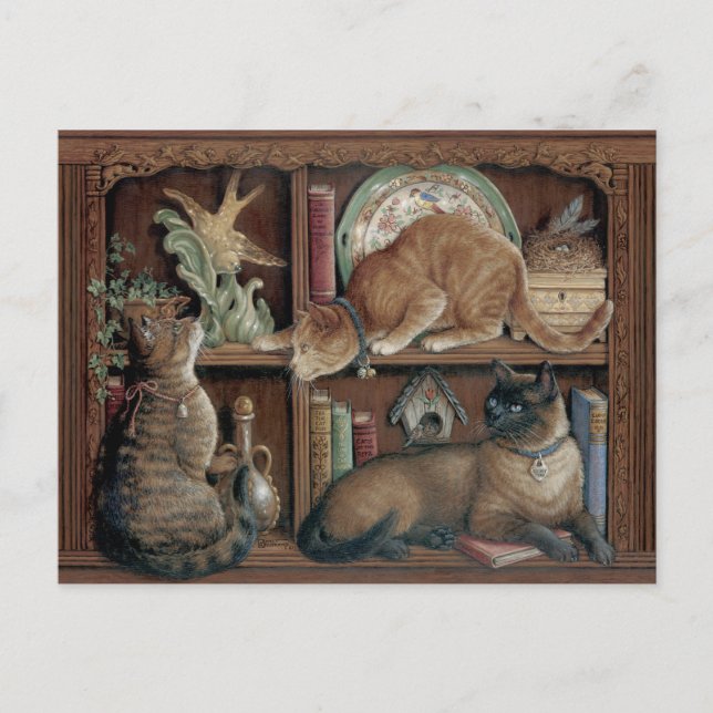 Janet Kruskamp Cats on the bookshelve Postcrossing Postcard (Front)