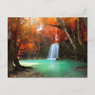 Jangle Landscape   Kanchanaburi, Thailand Postcard