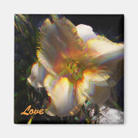 Janice's Lilly, Love