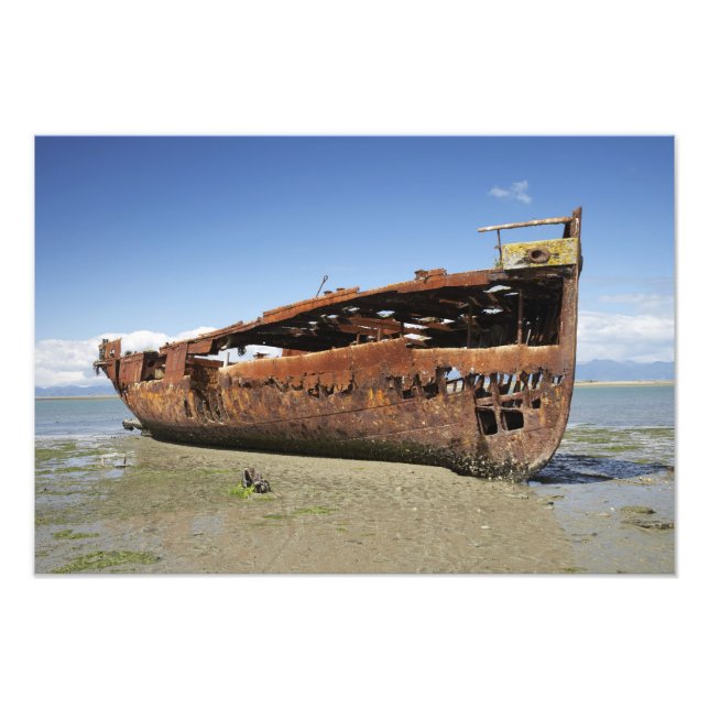 Janie Seddon Shipwreck, Motueka, Nelson Photo Print (Front)