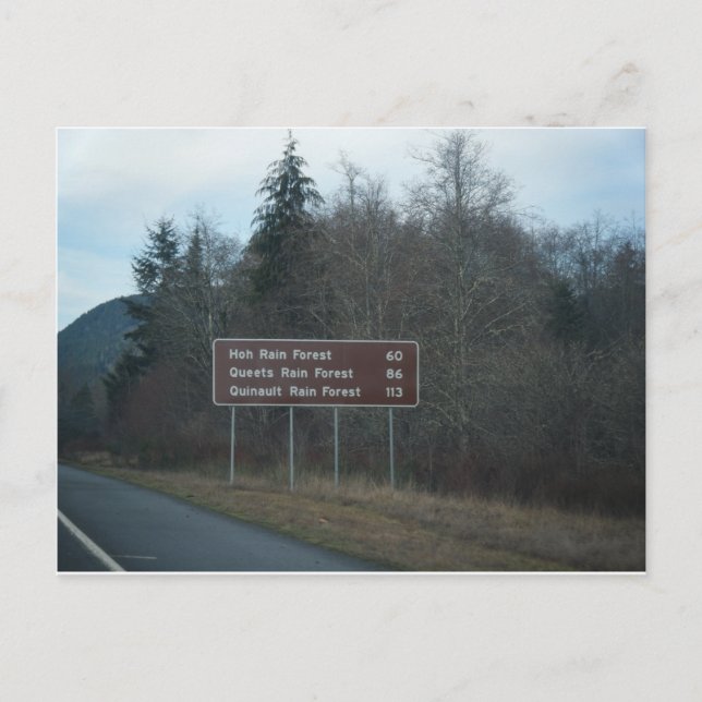 January 16 (157) postcard (Front)