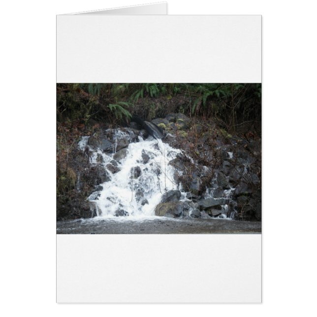 January 16 (170) (Front)