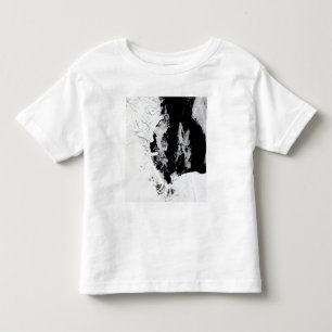 January 18, 2010 - Ross Sea, Antarctica Toddler T-shirt