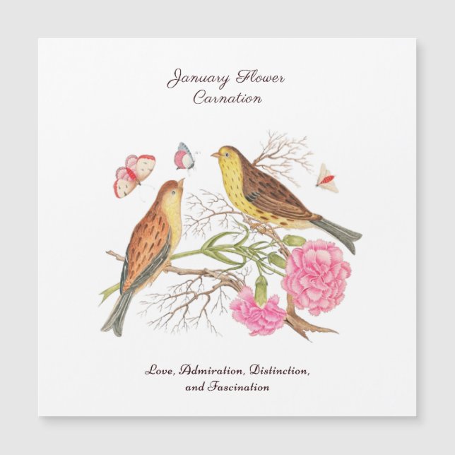 January Birth Month Flower  Birthday Gift      (Front)