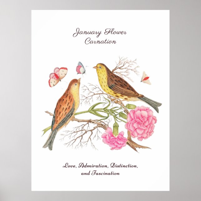 January Birth Month Flower  Birthday Gift      Poster (Front)