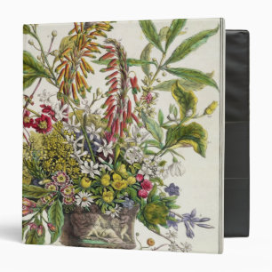 January, from `Twelve Months of Flowers' Binder