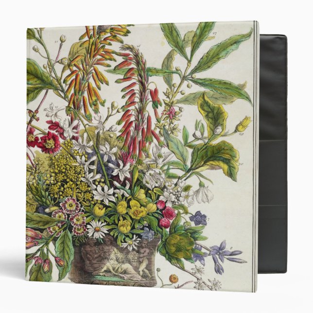 January, from `Twelve Months of Flowers' Binder (Front/Inside)