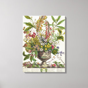 January, from `Twelve Months of Flowers' Canvas Print