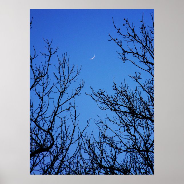 January Moon Poster (Front)