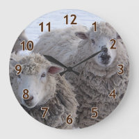 January Two Sheep Faces