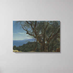 Janus la Cour - View over Nice, France Canvas Print