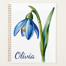 Janvier cadeau de fleur Blue snowdrop fleur