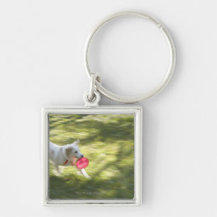 Japan 2 keychain