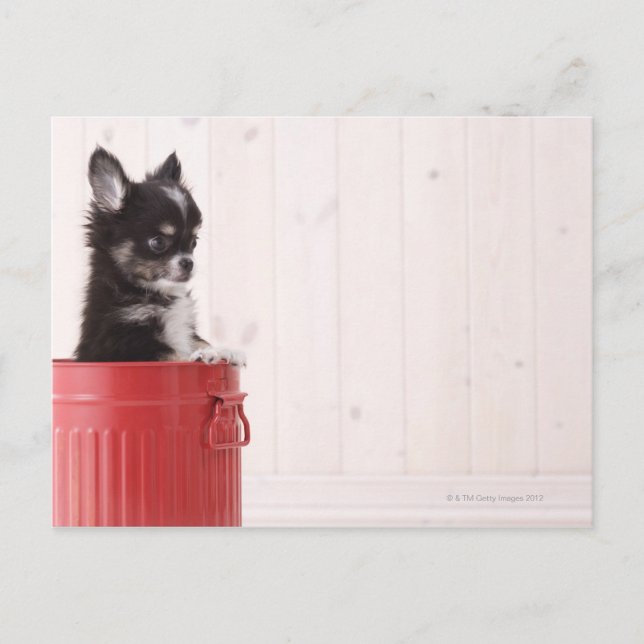 Japan 4 postcard (Front)