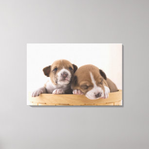 Japan 5 canvas print