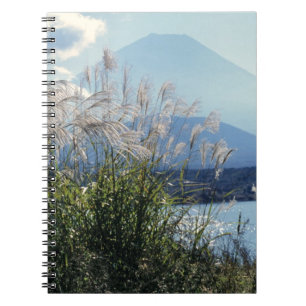 Japan, Honshu, Yamanashi Pref., Fuji-Hakone-Izu Notebook
