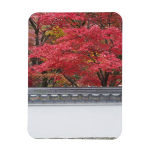 Japan, Kyoto, Autumn Colour at Eikando Temple Magnet