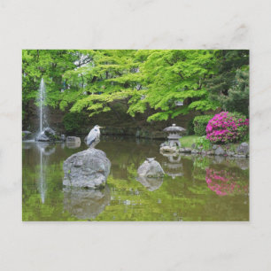 Japan, Kyoto. Heron in fresh green leaves Postcard