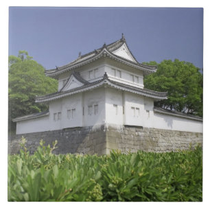 Japan, Kyoto, Nijo Castle Tile