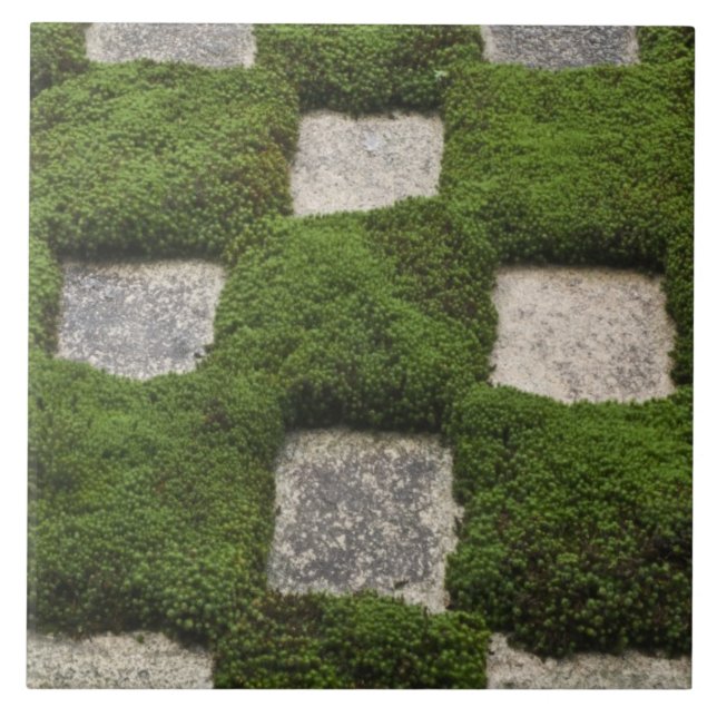 Japan, Kyoto, Tofukuji Temple, Garden Tile (Front)