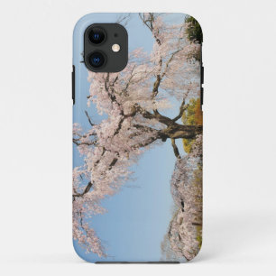 Japan, Kyoto. Weeping cherry tree under blue sky iPhone 11 Case