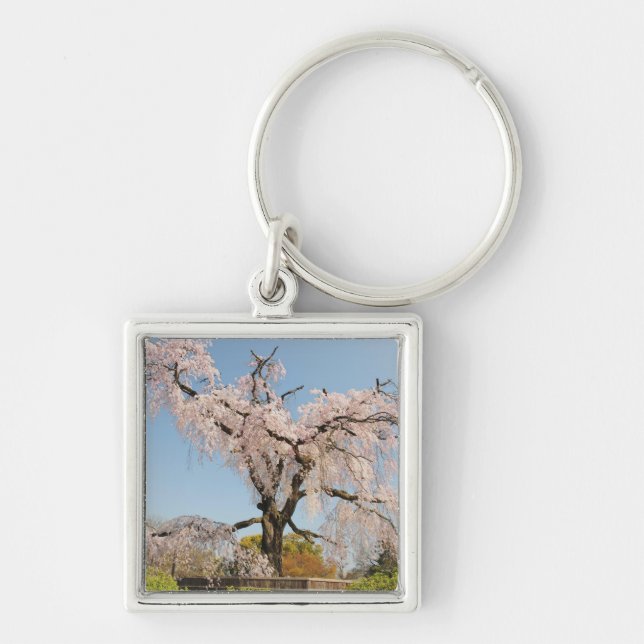 Japan, Kyoto. Weeping cherry tree under blue sky Keychain (Front)
