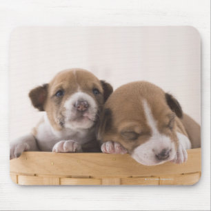 Japan Mouse Pad