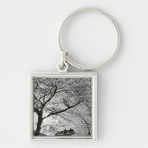 Japan, Tokyo. Cherry blossoms in the Imperial Keychain