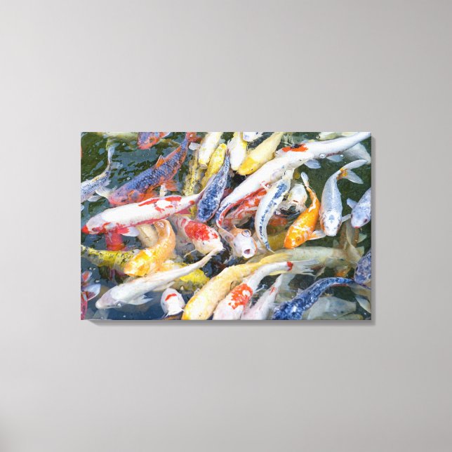 Japan, Tokyo, close-up swimming fish Canvas Print (Front)