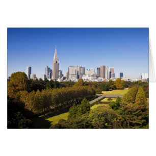 Japan. Tokyo. Shinjuku District Skyline and