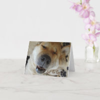 japanese akita dog with cute smile thinking of you