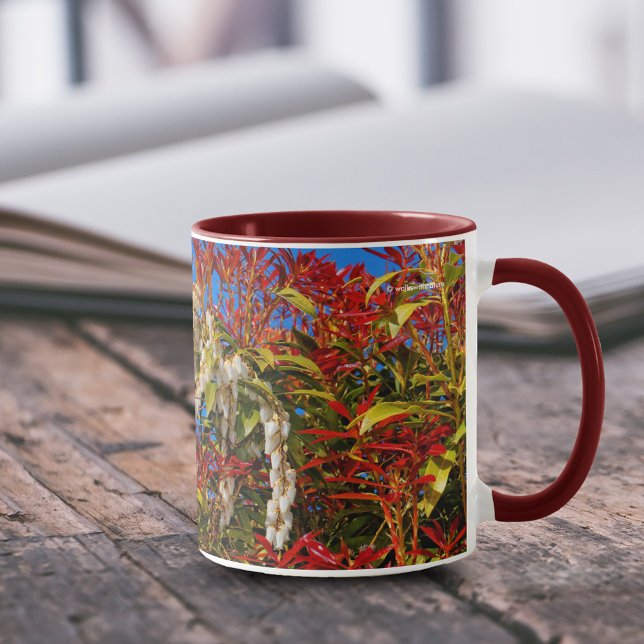 Japanese Andromeda Bonfire Mug (Japanese Andromedia Bonfire Shrub 11 oz Coffee Mug Cover Photo.)