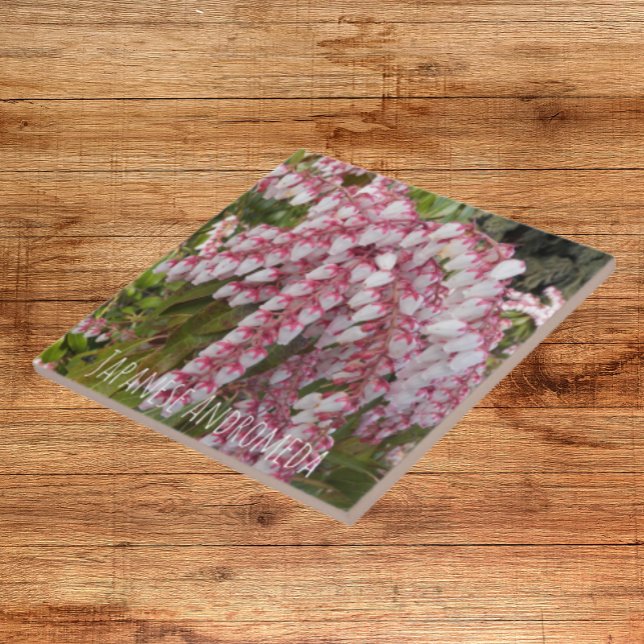 Japanese Andromeda Plant Floral Tile (In Situ)