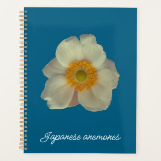 Japanese anemones flower