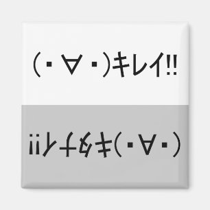 Japanese ASCII Art「キレイ!」&「キタナイ Magnet