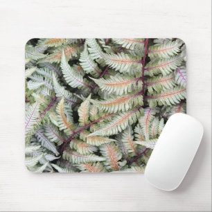 Japanese Athyrium Pictum Fern Fronds Mouse Pad