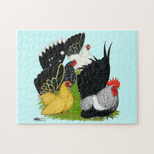 Japanese Bantam Quartet Jigsaw Puzzle