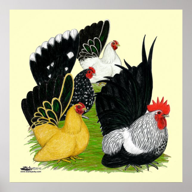 Japanese Bantam Quartet Poster (Front)