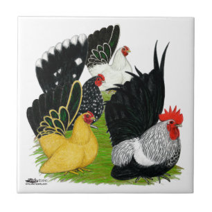 Japanese Bantam Quartet Tile