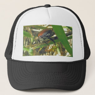 Japanese Beetle Hat