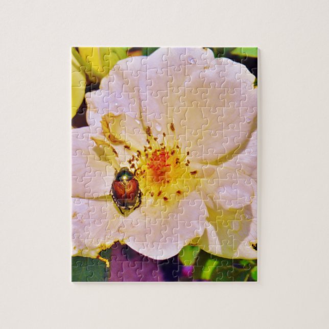 Japanese Beetle on White  Rose Jigsaw Puzzle (Vertical)