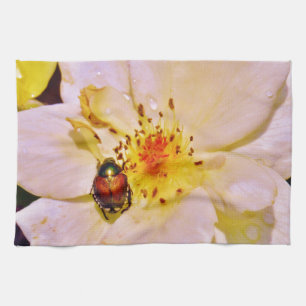 Japanese Beetle on White Rose Kitchen Towel