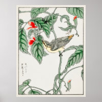 Japanese Birds 2