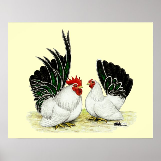 Japanese Blacktail Bantams Poster (Front)