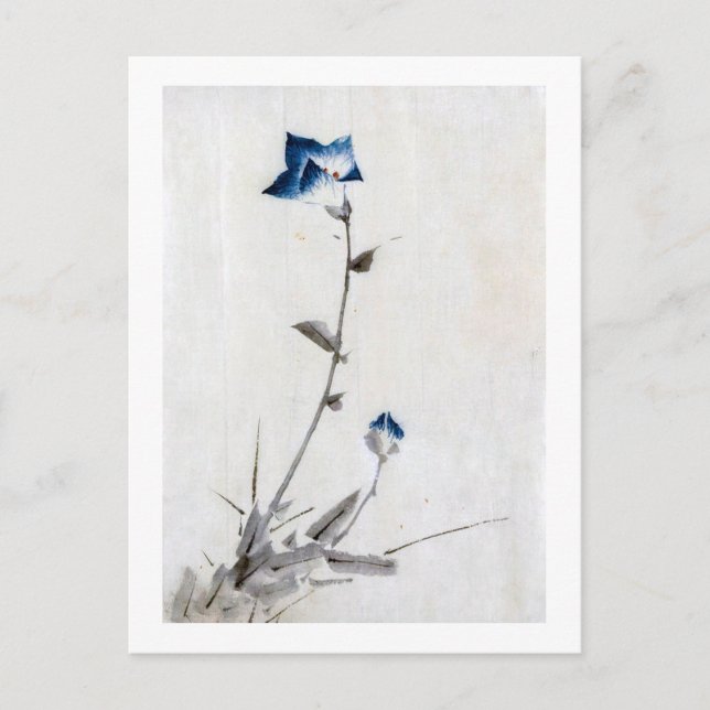 Japanese Blue Bellflower, Hokusai, Ukiyo-e Postcard (Front)